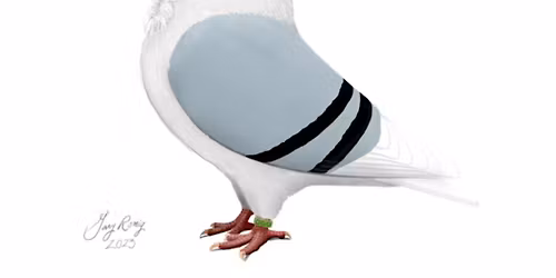 Old German Owl Club at the LAPC's Pageant of Pigeons