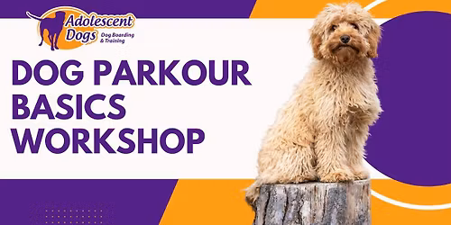 Dog Parkour Workshop Guildford