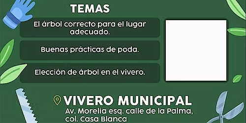 Taller CRECE TU ÁRBOL (NIVEL AVANZADO)