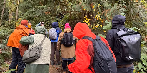 Introduction to Wild Plant First Aid for Hikers and Backpackers: Autumn Edition