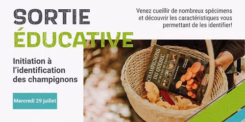 Sortie éducative - Initiation à l'identification des champignons