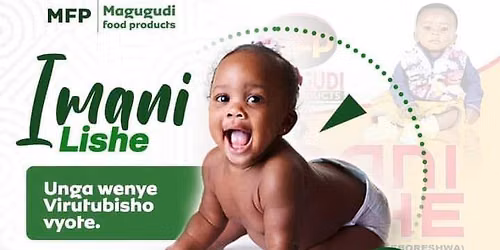 MAFUNZO YA BIASHARA YA UNGA LISHE