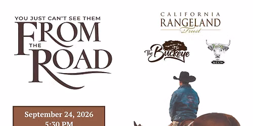 You Just Can\u2019t See Them From the Road