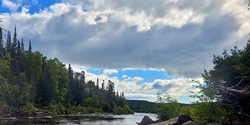 Family Constellations: Moving from Fear to Love - Flow into New Life