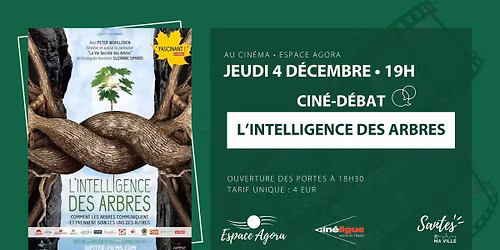 Cin\u00e9-D\u00e9bat \u2022 L'intelligence des arbres