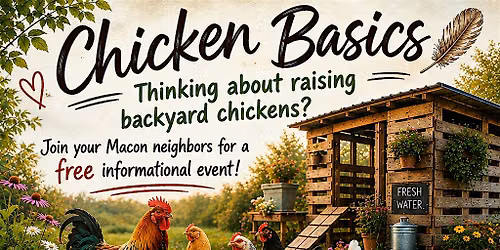 Chicken Basics