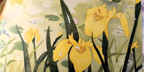 Atelier \/\/ Fleurs avec Laure Van der Haeghen, autrice et illustratrice