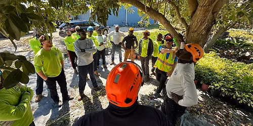 Tree Anatomy and Pruning for Landscape Professionals
