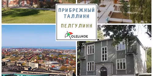  \u041f\u0440\u0438\u0431\u0440\u0435\u0436\u043d\u044b\u0439 \u0422\u0430\u043b\u043b\u0438\u043d\u043d. \u041f\u0435\u043b\u044c\u0433\u0443\u043b\u0438\u043d\u043d (12+)