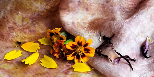 Bundle Dyeing at TRSS