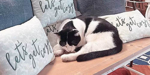 Christmas Open House