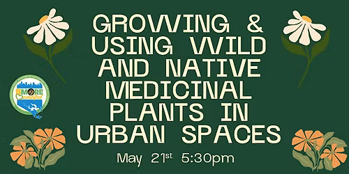 Growing & Using Wild and Native Medicinal Plants in Urban Spaces
