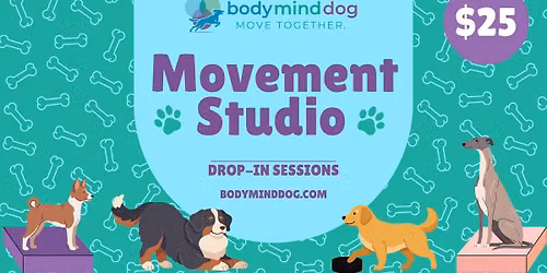 Movement Studio - Open Gym Session
