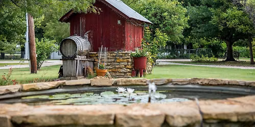 Through the Lens: A Morning at the Farm