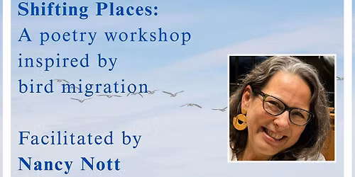 Shifting Places: A poetry workshop inspired by bird migration