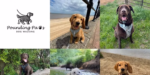 Christmas play date \ud83c\udf84\ud83c\udf85\ud83c\udffb\ud83d\udc3e