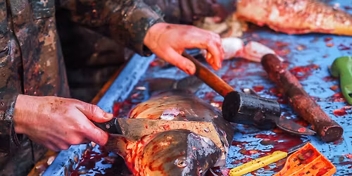 Tich\u00e1 uli\u010dka za kapry 2025 - BRNO