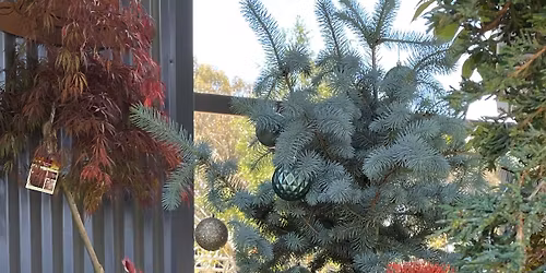 \ud83c\udf84Christmas Market Day \ud83c\udf85\ud83c\udffb 