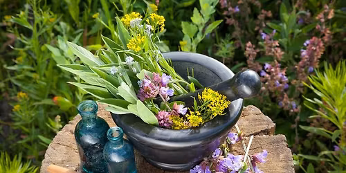 Medicine Making Classes
