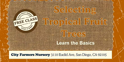 Selecting Tropical Fruit Trees for San Diego \ud83e\udd6d\ud83c\udf4c