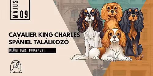 VIII. Great Dog Cavalier King Charles Sp\u00e1niel Tal\u00e1lkoz\u00f3