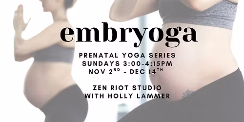 Embryoga - 7 Week Prenatal Yoga Series