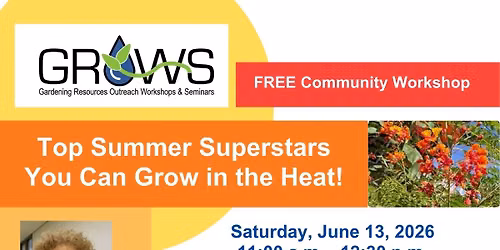 Top Summer Superstars You Can Grow in the Heat!