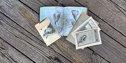 Phinizy Vintage Book Bazaar