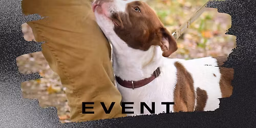 Love on the Lawn - Community Event