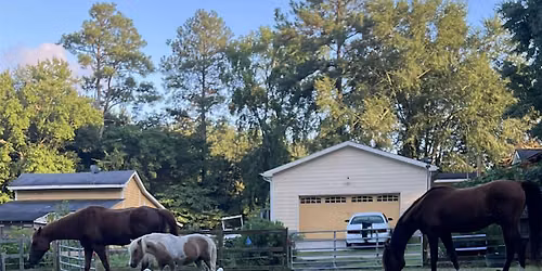Stretching & Meditation with Horses: Sundays at 5:30 PM