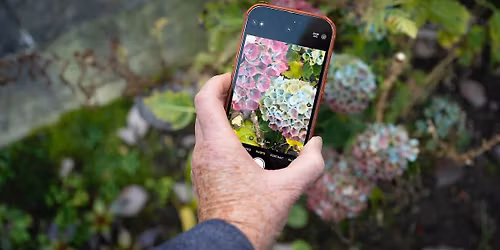 Take better photos with your phone