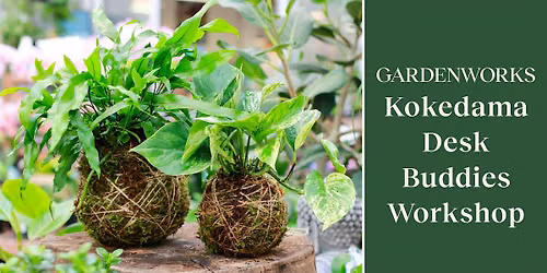 Kokedama Desk Buddies Workshop at GARDENWORKS Penticton