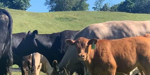 Customer Appreciation Week and Party 