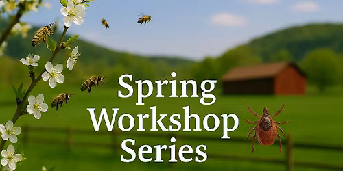 Spring Workshop Series