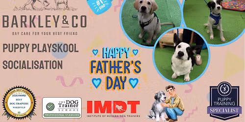 Puppy Playskool - Saturday Socials \ud83e\ude75\u2728