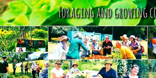 Nelson Wild Coffee & Tea Workshop + Healthy food potluck