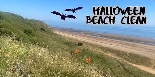 Halloween Beach Clean - Crimdon 