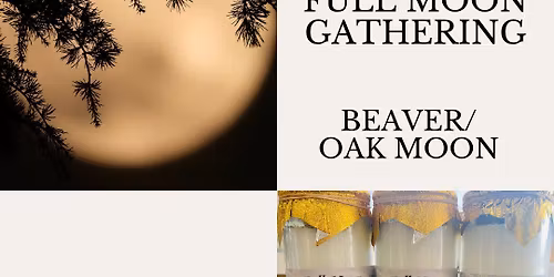 Kindrd Spirits Full Moon Gathering: Beaver\/Oak Moon