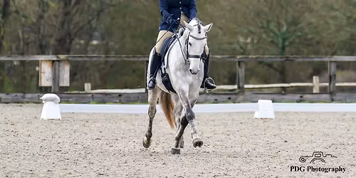Golden Cross BD and Unaffiliated Dressage ,Sunday 23 November
