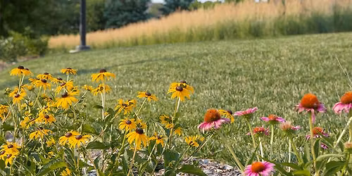 Sustainable Landscapes 101