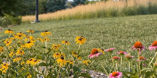 Sustainable Landscapes 101