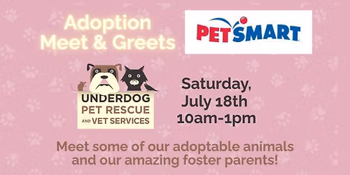 Adoptable Pets at PetSmart Madison East!