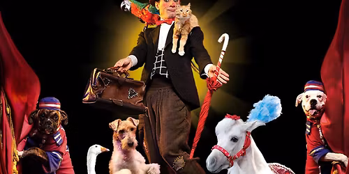 Popovich Comedy Pet Theater