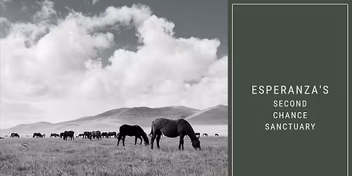 Green Enrichment: Designing Natural Play Areas and Compost\u2011Based Activities for Animals