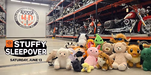 Stuffy Sleepover