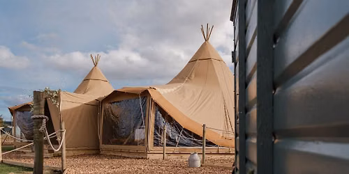 Wild Woman Business Collective