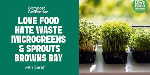 Free Love Food Hate Waste Workshop: Microgreens and Sprouts \u2013 Browns Bay