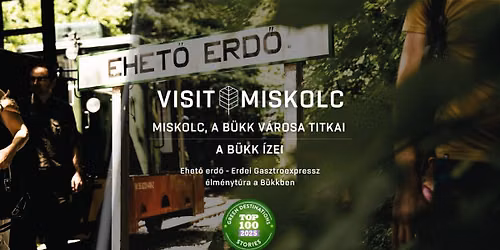 A Bükk ízei - Ehető erdő Erdei Gasztroexpressz