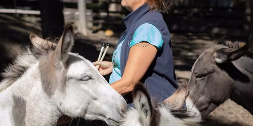 TRUST TECHNIQUE Demo Day