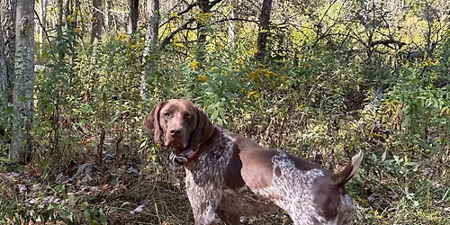 Monthly Training Session